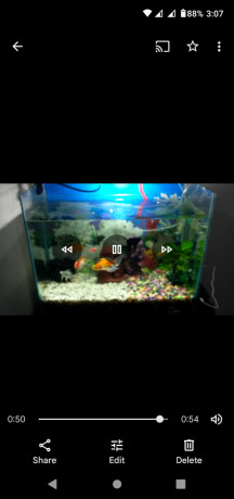 aquarium-2x1-with-fishes-big-4